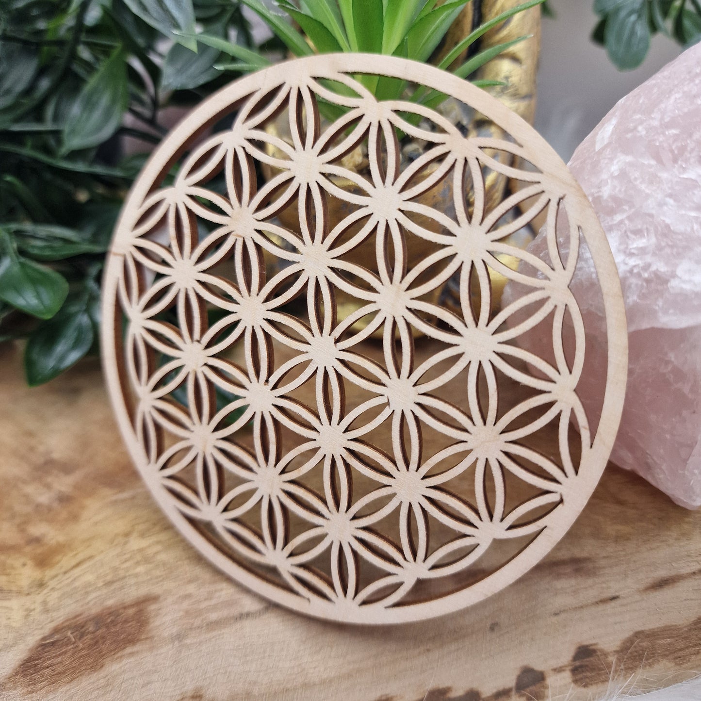 Fleur de vie - Plaque 10cm bois